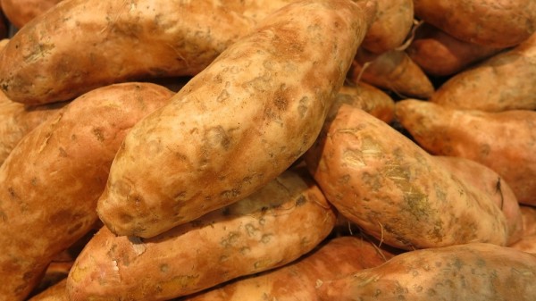 USA Süßkartoffeln extra groß 1 Stück Sweet Potatoes