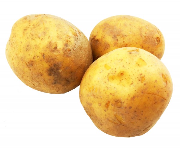 Marabell Kartoffeln Neue Ernte 10Kg Sack mehlig kochend